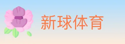新球体育 logo